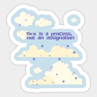 Sex is a Process NOT an Assignation Sticker